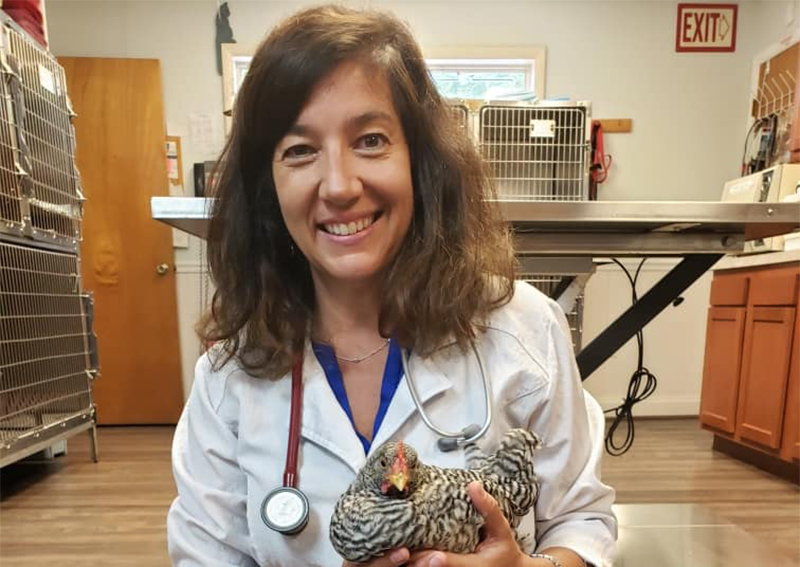 Chesapeake Animal Clinic Owings veterinarians